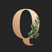 Botanical capital letter Q vector