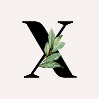 Botanical capital letter X illustration