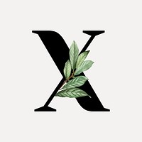 Botanical capital letter X vector