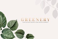 Tropical botanic greenery background illustration