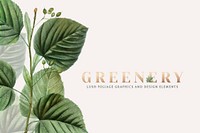 Tropical botanic greenery background illustration