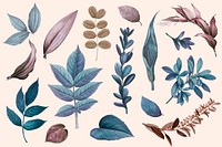 Vintage colorful leaves collection vector