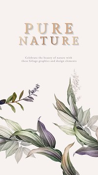 Pure nature leaves background vector