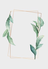 Gold frame decorated with hand drawn tropical leaves poster vector