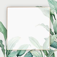Gold frame on a hand drawn tropical leaves white background
