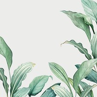 Hand drawn tropical leaves on a white background