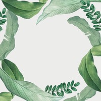 Hand drawn tropical leaves frame on white background