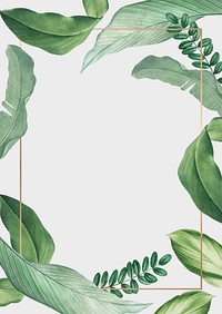 Hand drawn tropical leaves white poster vector