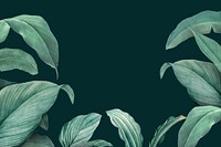 Hand drawn tropical leaves on a dark green background vector
