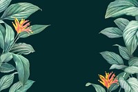 Hand drawn tropical leaves on a dark green background vector