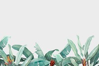 Hand drawn tropical leaves on a white background vector