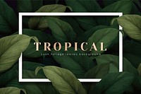 White rectangle frame on tropical leaves background vector