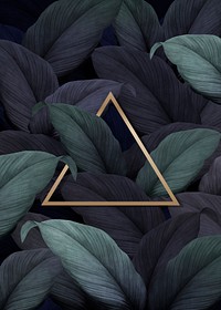 Gold triangle frame on tropical leaves background