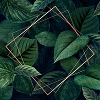Rhombus frame on a leafy background