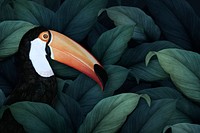 Macaw on a leafy background