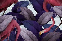 Flamingos on a leafy background vector