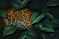Cheetah on a leafy background
