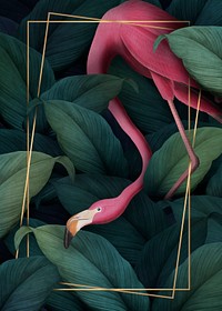 Tropical flamingo on a rectangle golden frame illustration