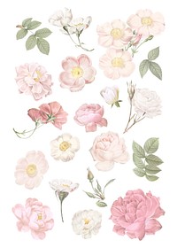 Blooming elegant floral design collection