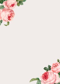 Hand drawn pink roses frame on beige background vector