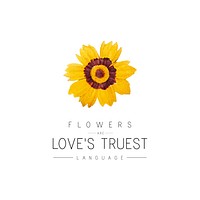 Flowers are love&#39;s truest language with Tickseed flower vector