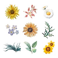 Set of beautifully painted flowers
