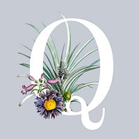 White letter Q decorated with hand drawn various flowers vector