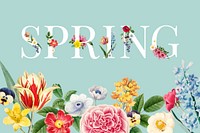 Colorful floral themed background vector