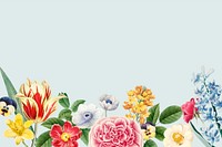 Spring background vector with flower border