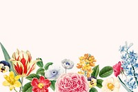 Spring background vector with flower border