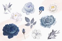 Blue rose element vectors collection