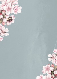 Cherry blossom flower border frame on blue gray background