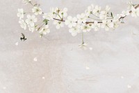 Pink azalea blossom flower branch bouquet border on cream marble background