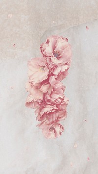 Pink cherry flower branch bouquet on cream marble background