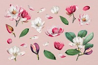 Elegant floral design collection vector