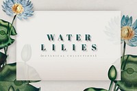 Blue botanical water lilies frame vector