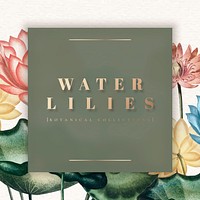 Colorful botanical water lilies frame vector