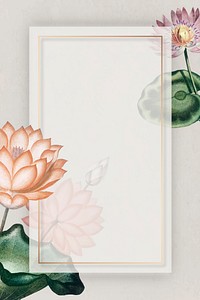 Blank colorful water lilies frame vector