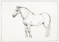 Standing horse (1818) drawing in high resolution by Jean Bernard. Original from the Rijksmuseum. Digitally enhanced by rawpixel.