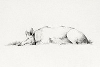 Lying pig (1775–1833) drawing in high resolution by Jean Bernard. Original from the Rijksmuseum. Digitally enhanced by rawpixel.