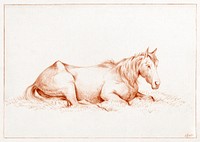 Horse lying in the grass (1815) drawing in high resolution by Jean Bernard. Original from the Rijksmuseum. Digitally enhanced by rawpixel.