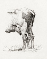 Back legs of a cow (1818) drawing in high resolution by Jean Bernard. Original from the Rijksmuseum. Digitally enhanced by rawpixel.