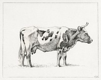 Standing cow (1820) drawing in high resolution by Jean Bernard. Original from the Rijksmuseum. Digitally enhanced by rawpixel.