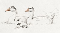 Two geese with a young (1775–1833) drawing in high resolution by Jean Bernard. Original from the Rijksmuseum. Digitally enhanced by rawpixel.