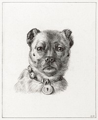 Dog head with a collar (1818) drawing in high resolution by Jean Bernard. Original from the Rijksmuseum. Digitally enhanced by rawpixel.