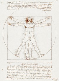 Leonardo da Vinci's Vitruvian Man (circa 1492) famous drawing. Original from Wikimedia Commons. Digitally enhanced by rawpixel.