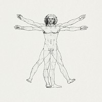 Vitruvian man psd, human body famous drawing, remixed from artworks by Leonardo da Vinci