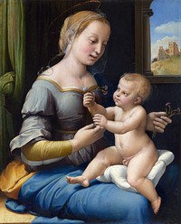 Raphael's The Madonna of the Pinks (ca. 1506&ndash;1507) famous painting. Original from Wikimedia Commons. Digitally enhanced by rawpixel.