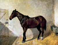 Horse (1842) painting in high resolution by John Frederick Herring. Original from the Minneapolis Institute of Art. Digitally enhanced by rawpixel.