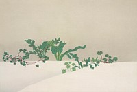 Green plants from Momoyogusa&ndash;Flowers of a Hundred Generations (1909) by <a href="https://www.rawpixel.com/search/Kamisaka%20Sekka?sort=curated&amp;type=all&amp;page=1">Kamisaka Sekka</a>. Original from the The New York Public Library. Digitally enhanced by rawpixel.